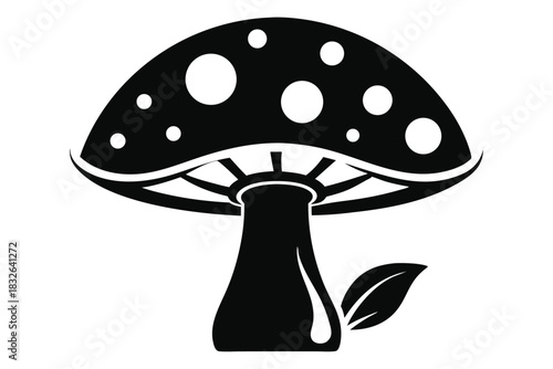 Black mushroom with white spots stands near a leaf in a image