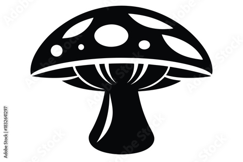 Black and white toadstool with visible spots appears striking and graphic