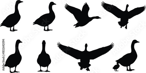 Geese and Goslings Silhouettes Vector Set: Black and White Farm Bird Icons Showcasing Standing, Flying, and Mother with Baby Poses Illustration.