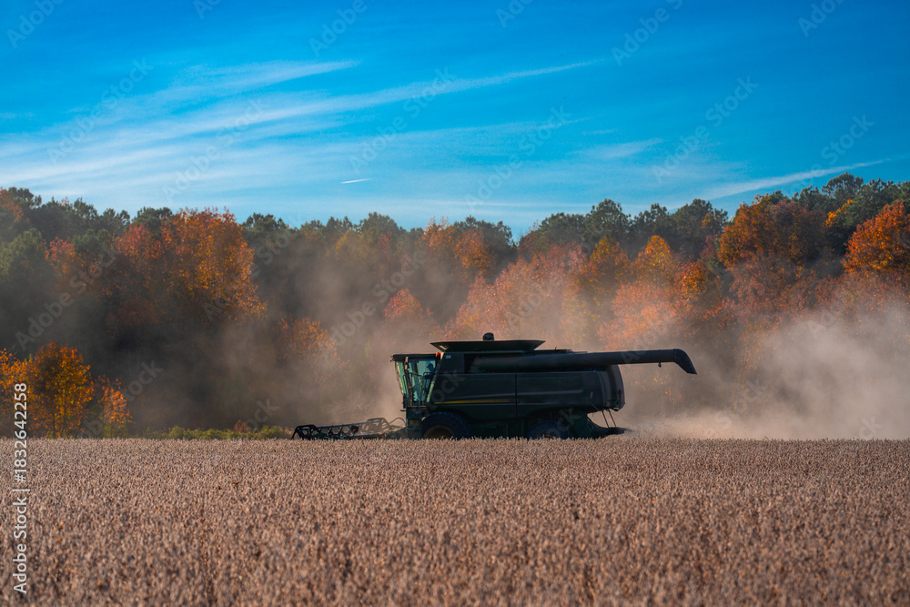Obraz premium Combine harvester in a wheat field. Harvesting on rural farm. Combine harvester machinery. Agricultural Combine harvester at work. Rural landscape with a combine harvester. Rural farming.