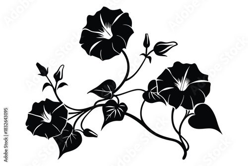 Morning glory flowers with vines and heartshaped leaves are displayed in bold, black silhouettes