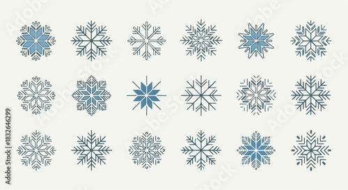 Collection of elegant snowflakes icons for winter 