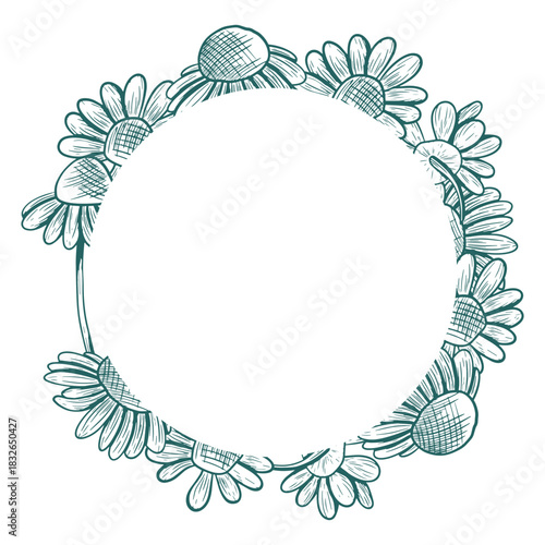 Round frame with daisy flowers and stems. Vector round frame with flowers in line art style. Trendy colors used. Botanical illustration.