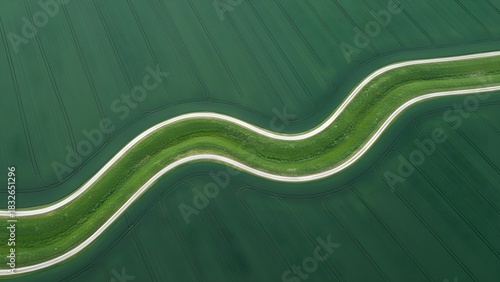 Aerial view of a winding road through lush green fields