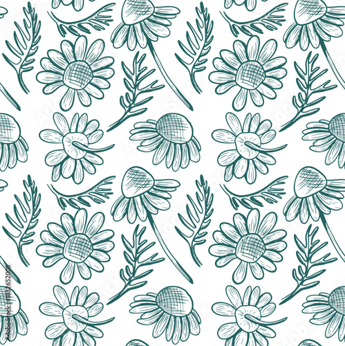 Seamless vector pattern with chamomile flowers and leaves on a white background. Monochrome botanical illustration with wildflowers. Hand-drawn line art with flower silhouettes.