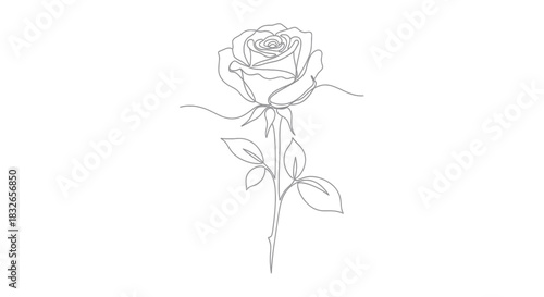 Elegant minimalist line art depiction of a blooming rose with detailed petals and leaves for