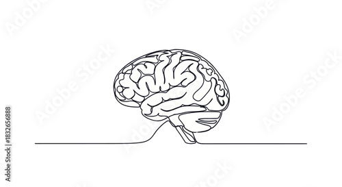 Minimalist Illustration of a Human Brain with a Focus on Neural Structures and Brain Anatomy in
