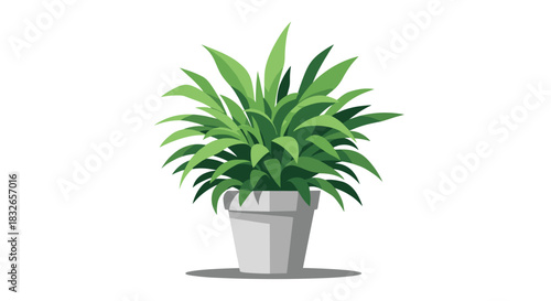 Lush green houseplant with dense foliage growing in a simple grey pot, illustrated in a clean, flat style against a white background.