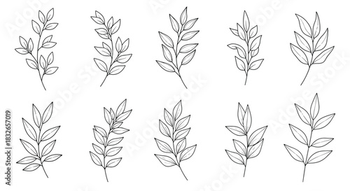 Collection of ten elegant, hand-drawn botanical branches with leaves, rendered in a clean black and white line art style for decoration.