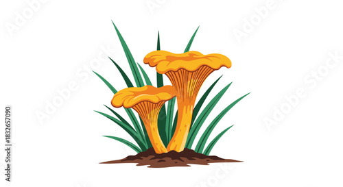 Vibrant illustration of two yellow chanterelle mushrooms growing in a patch of dark green grass, isolated on a clean white background.