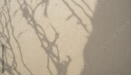 Fototapeta Naklejka Na Ścianę i Meble -  black and white background