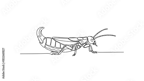 Simple line drawing of a grasshopper in profile view  