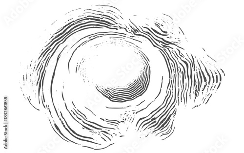 Wood Round Texture Background, Natural Tree Ring Pattern, Rustic Wooden Circle Surface for Posters, Banners and Digital Design.