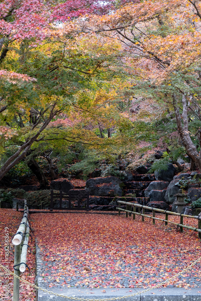 custom made wallpaper toronto digitalAutumn leaves cover a path in a tranquil garden with vibrant trees in full color during a peaceful afternoon