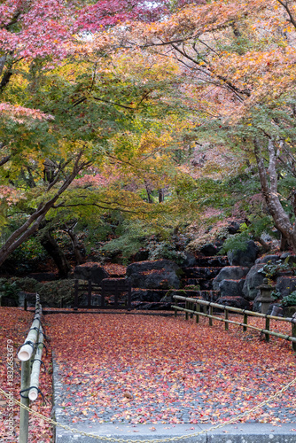 Wallpaper Mural Autumn leaves cover a path in a tranquil garden with vibrant trees in full color during a peaceful afternoon Torontodigital.ca