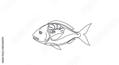 Minimalist Line Drawing of a Fish Highlighting Its Unique Shape and Fins for Artistic and