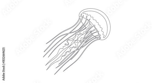 Minimalist Line Drawing Illustration of a Jellyfish with Flowing Tentacles and Dome
