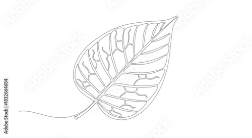 Intricate Line Drawing of a Leaf with Visible Veins and Natural Details