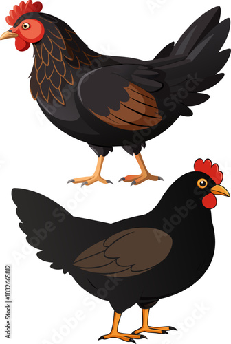 Isolated white domestic fowl birds, including a rooster, hen, and chick, representing livestock poultry on a farm