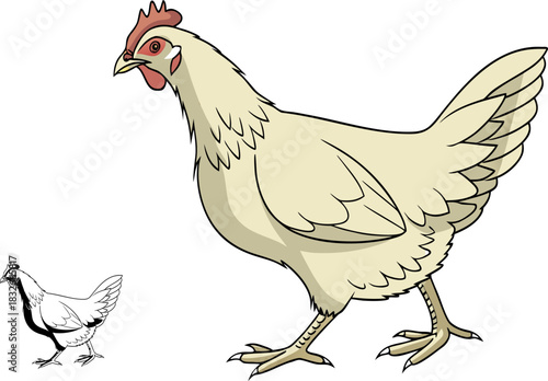 A mother hen with her fluffy chicks standing together on a farm scene
