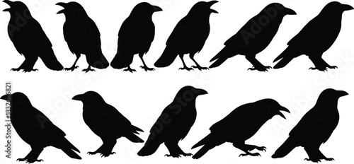 “Detailed black crow bird silhouette collection featuring standing and perching raven poses perfect for wildlife illustration, vector design, and creative projects”