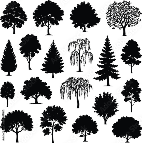 Collection of detailed tree silhouettes featuring deciduous, evergreen, and willow varieties designed for nature themes, botanical illustration, landscape artwork, and vector projects