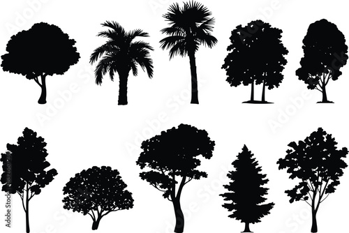 Collection of diverse tree silhouettes featuring tropical, deciduous, and conifer shapes in detailed vector style for natural landscape and design projects