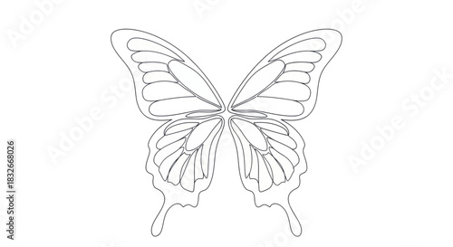 Elegant Line Art Illustration of a Butterfly with Intricate Wing Patterns