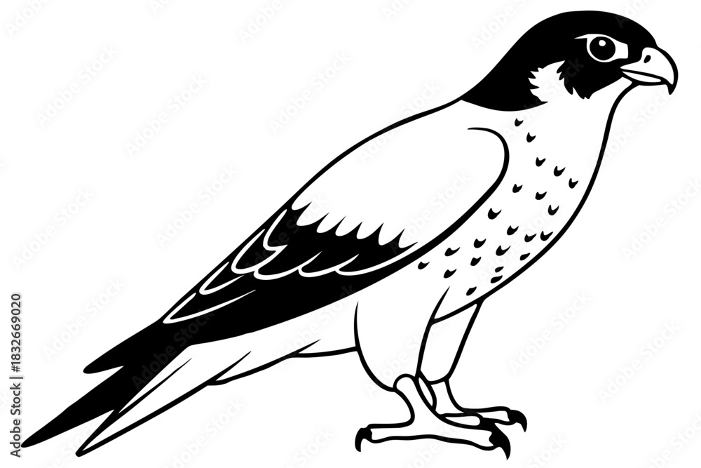 Obraz premium falcon silhouette black and white line art on white background