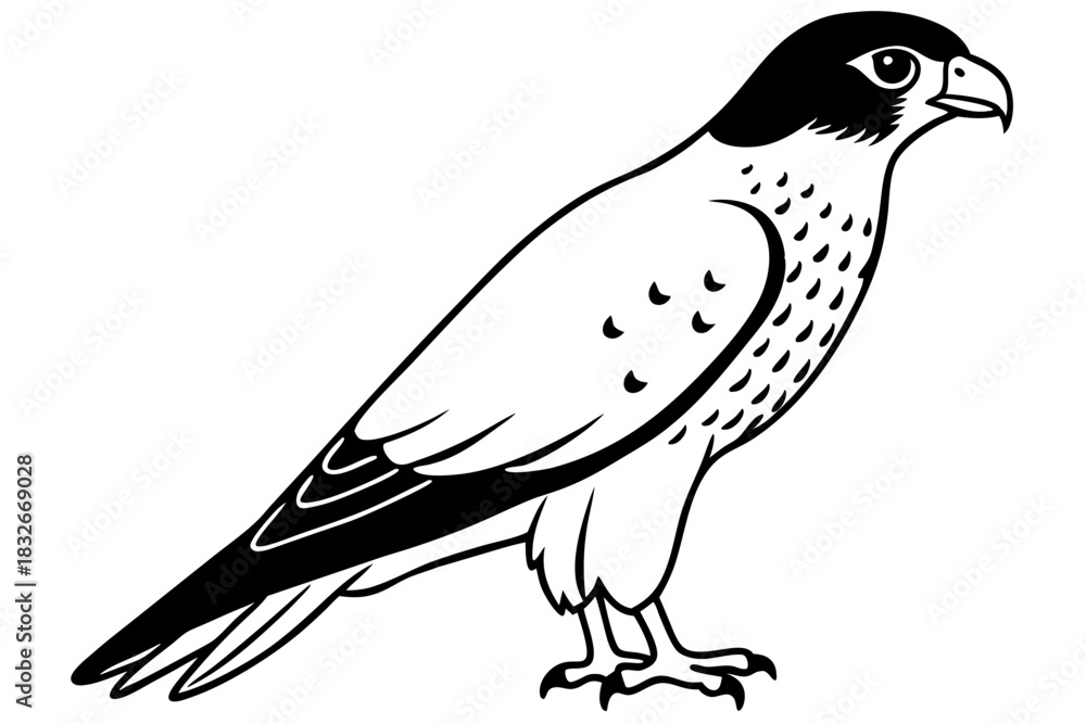 Obraz premium falcon silhouette black and white line art on white background