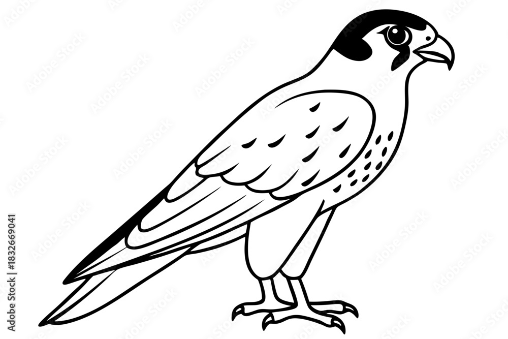 Obraz premium falcon silhouette black and white line art on white background