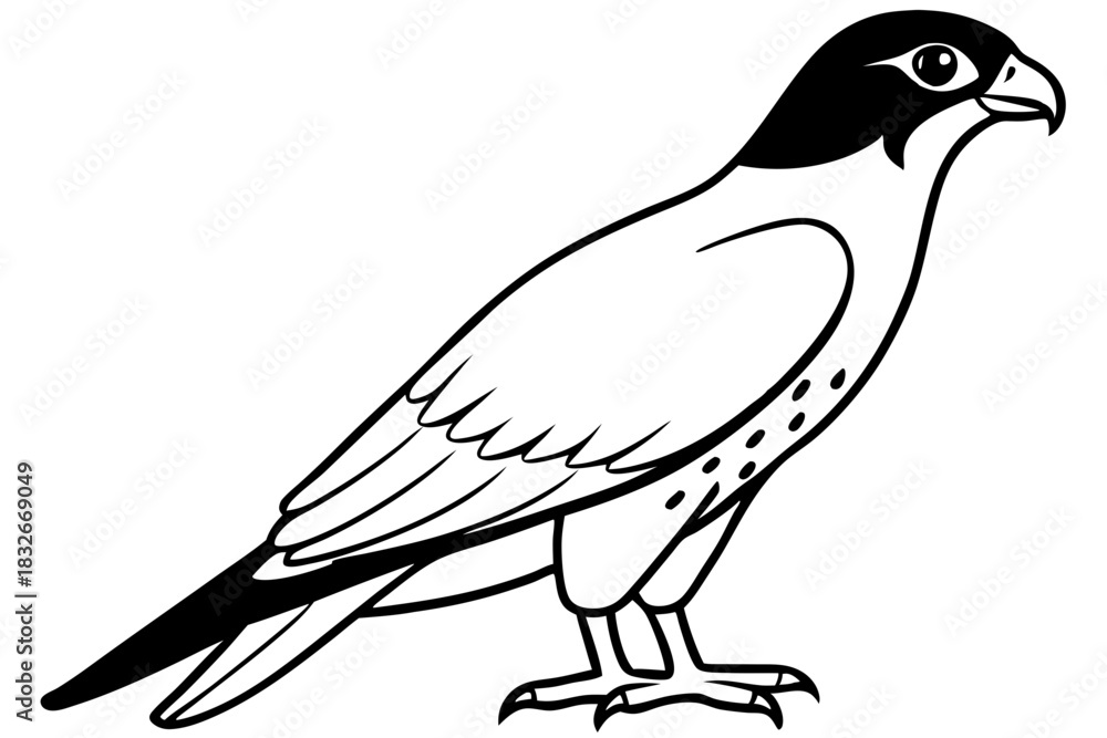 Obraz premium falcon silhouette black and white line art on white background