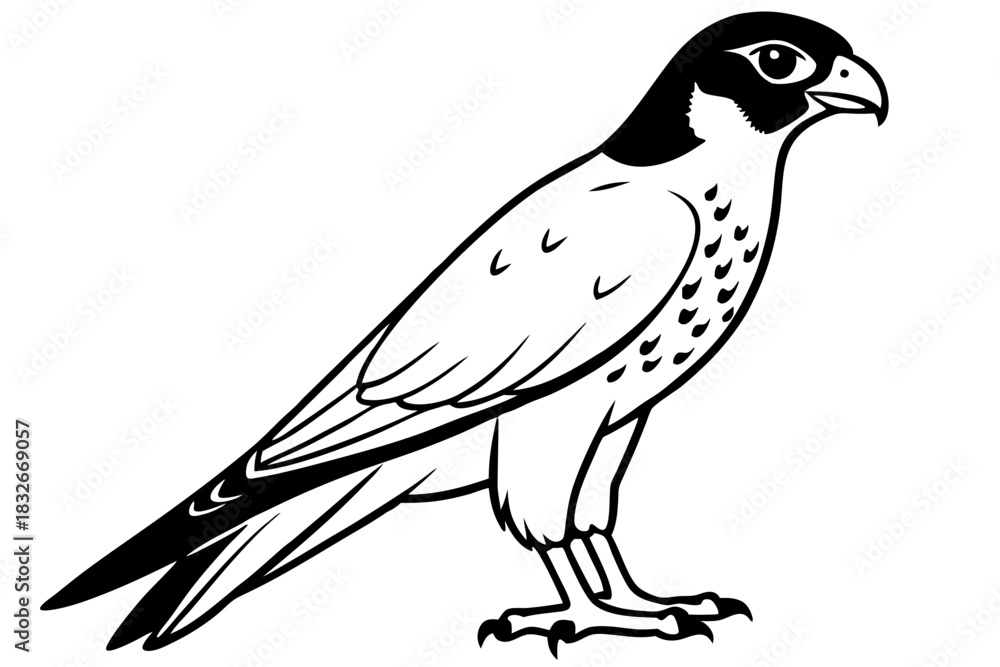 Obraz premium falcon silhouette black and white line art on white background