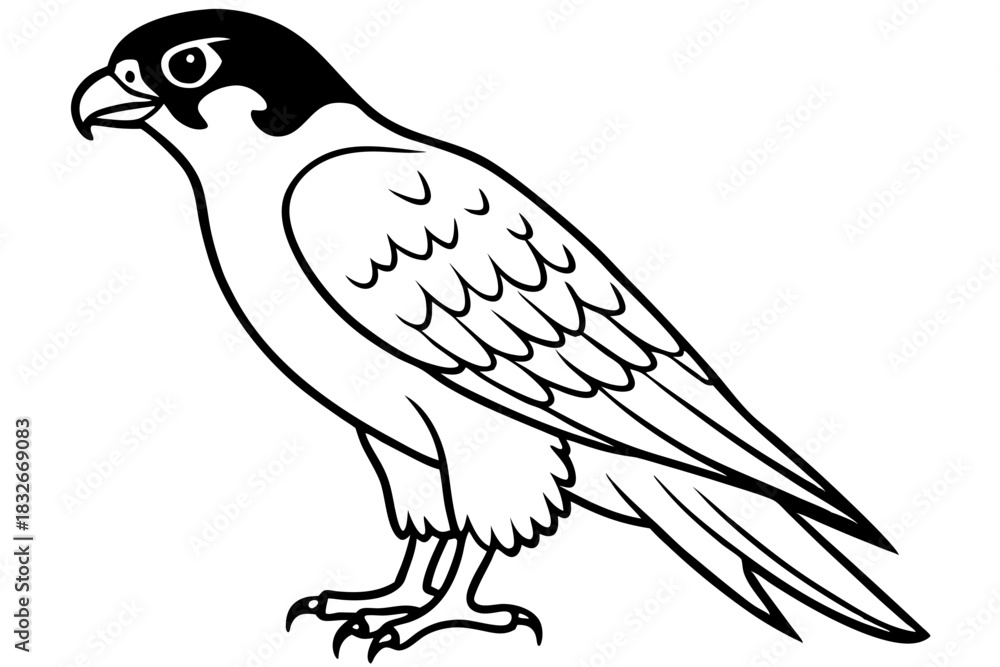 Obraz premium falcon silhouette black and white line art on white background
