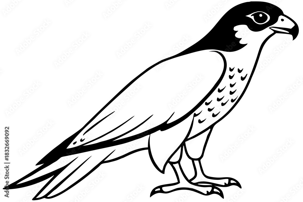 Obraz premium falcon silhouette black and white line art on white background