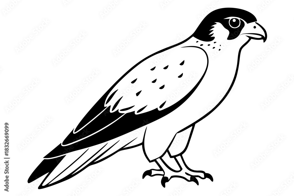 Obraz premium falcon silhouette black and white line art on white background