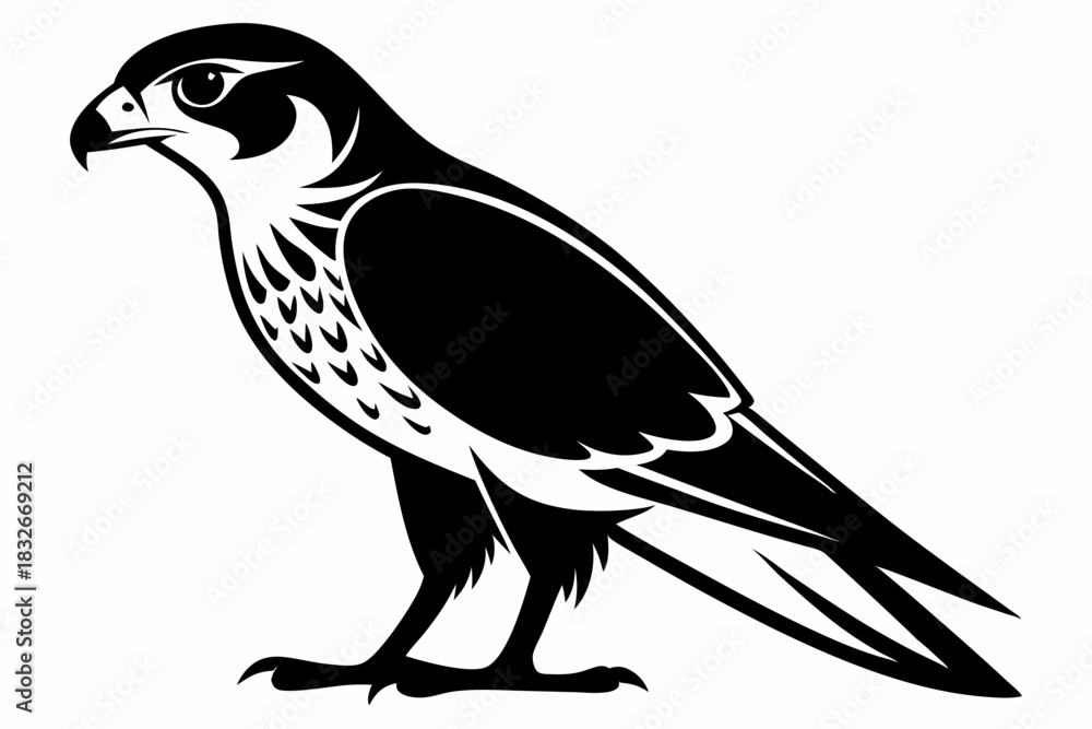 Obraz premium falcon silhouette black and white on white background