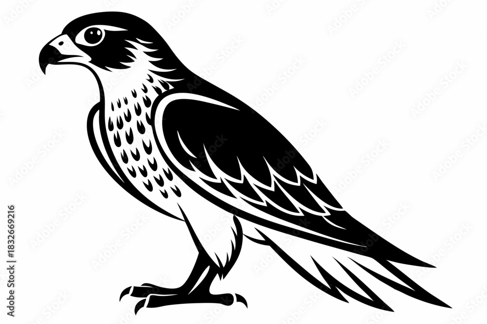 Obraz premium falcon silhouette black and white on white background