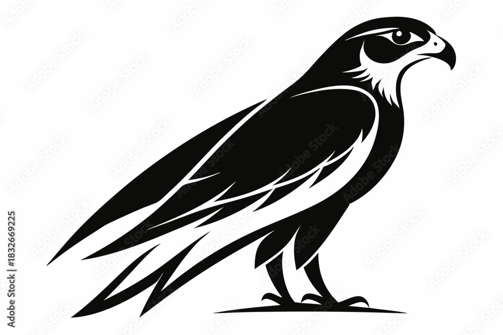 Obraz premium falcon silhouette black and white on white background