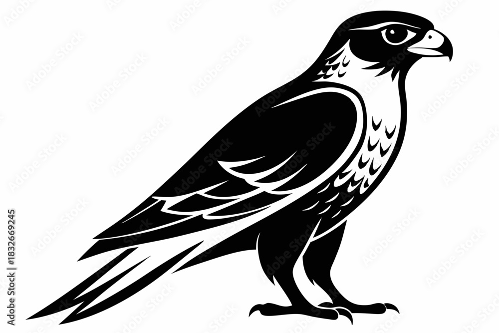 Obraz premium falcon silhouette black and white on white background
