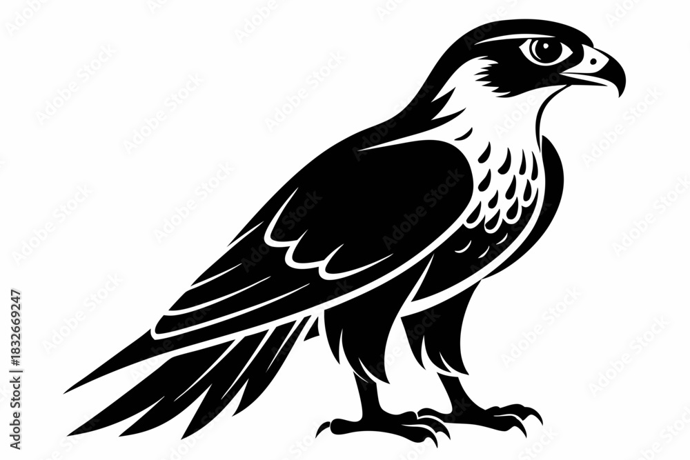 Naklejka premium falcon silhouette black and white on white background