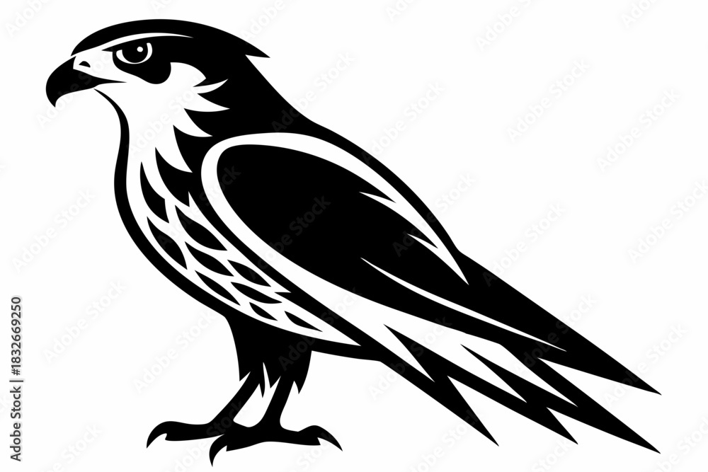 Obraz premium falcon silhouette black and white on white background
