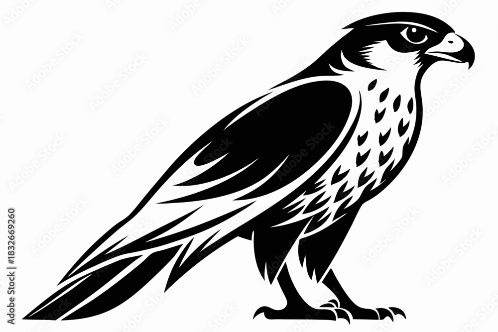 Obraz premium falcon silhouette black and white on white background