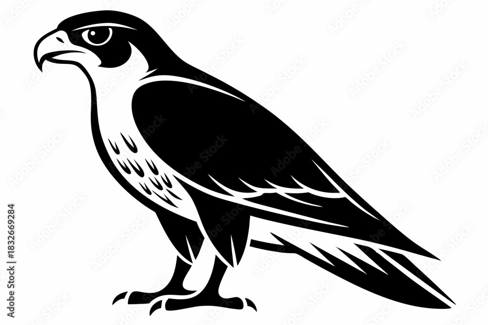 Obraz premium falcon silhouette black and white on white background