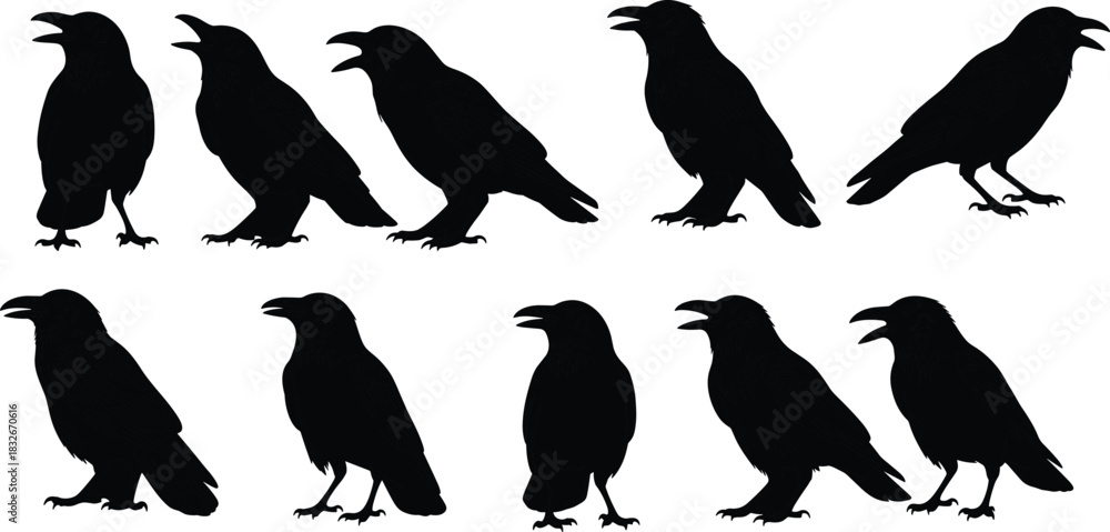 Fototapeta premium Silhouette illustration of standing ravens and crows in various poses, showcasing detailed bird shapes for wildlife design, decoration, and creative artwork
