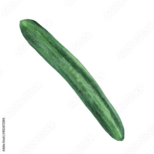 Watercolor Vegetables - cucumber