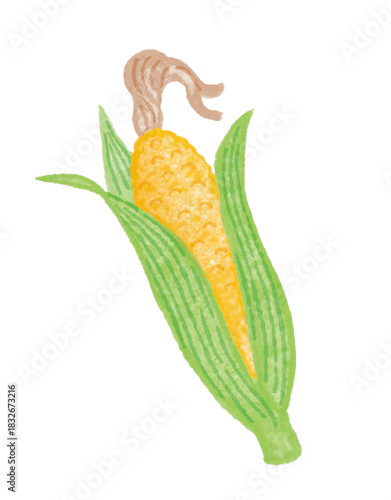 葉っぱ付きとうもろこしの手描き風イラスト（シンプル野菜素材）