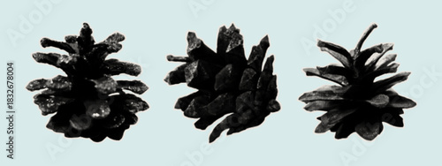 Set of pine cones. Contemporary art collage of paper cutout elements for scrapbooking. Vintage wood texture, halftone style, craft collection. Spruce cedar cone stickers. Vector illustration.