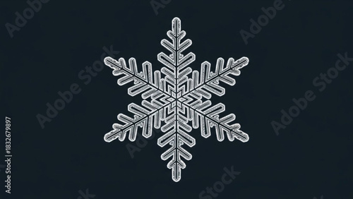 A detailed macro photograph of a single symmetrical white snowflake with intricate crystalline structures against a dark blue background