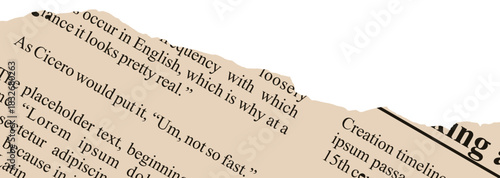 Torn Newspaper Vector